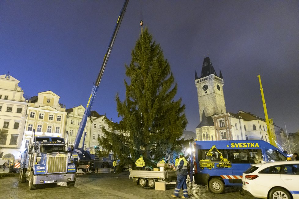 Stavění vánočního stromu na Staroměstském náměstí v brzkých ranních hodinách. (22. listopad 2022)