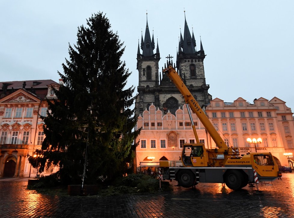 Ze Staroměstského náměstí v Praze byl 9. ledna 2020 odstraněn vánoční strom. Na akci dohlížel umělec Marek Číhal, který chce ze stromu vyrobit s brněnskými truhláři stoly. Výtěžek z jejich prodeje půjde na charitu.