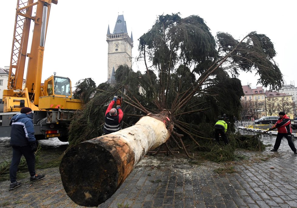 Ze Staroměstského náměstí v Praze byl 9. ledna 2020 odstraněn vánoční strom. Na akci dohlížel umělec Marek Číhal, který chce ze stromu vyrobit s brněnskými truhláři stoly. Výtěžek z jejich prodeje půjde na charitu.