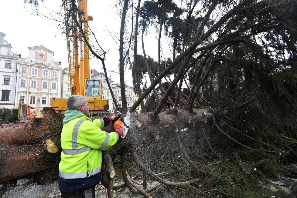 Ze Staroměstského náměstí v Praze byl 9. ledna 2020 odstraněn vánoční strom. Na akci dohlížel umělec Marek Číhal, který chce ze stromu vyrobit s brněnskými truhláři stoly. Výtěžek z jejich prodeje půjde na charitu.