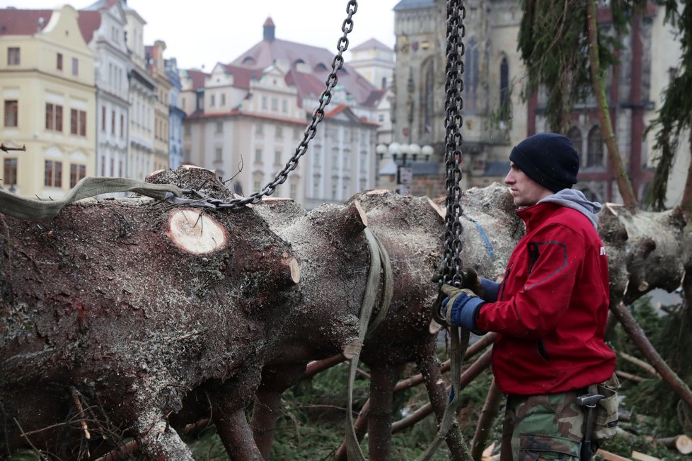 Ze Staroměstského náměstí v Praze byl 9. ledna 2020 odstraněn vánoční strom. Na akci dohlížel umělec Marek Číhal, který chce ze stromu vyrobit s brněnskými truhláři stoly. Výtěžek z jejich prodeje půjde na charitu.