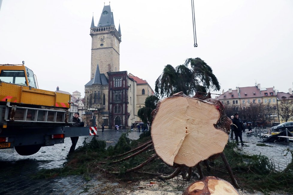 Ze Staroměstského náměstí v Praze byl 9. ledna 2020 odstraněn vánoční strom. Na akci dohlížel umělec Marek Číhal, který chce ze stromu vyrobit s brněnskými truhláři stoly. Výtěžek z jejich prodeje půjde na charitu.