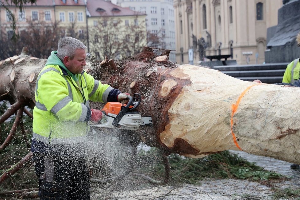 Ze Staroměstského náměstí v Praze byl 9. ledna 2020 odstraněn vánoční strom. Na akci dohlížel umělec Marek Číhal, který chce ze stromu vyrobit s brněnskými truhláři stoly. Výtěžek z jejich prodeje půjde na charitu.