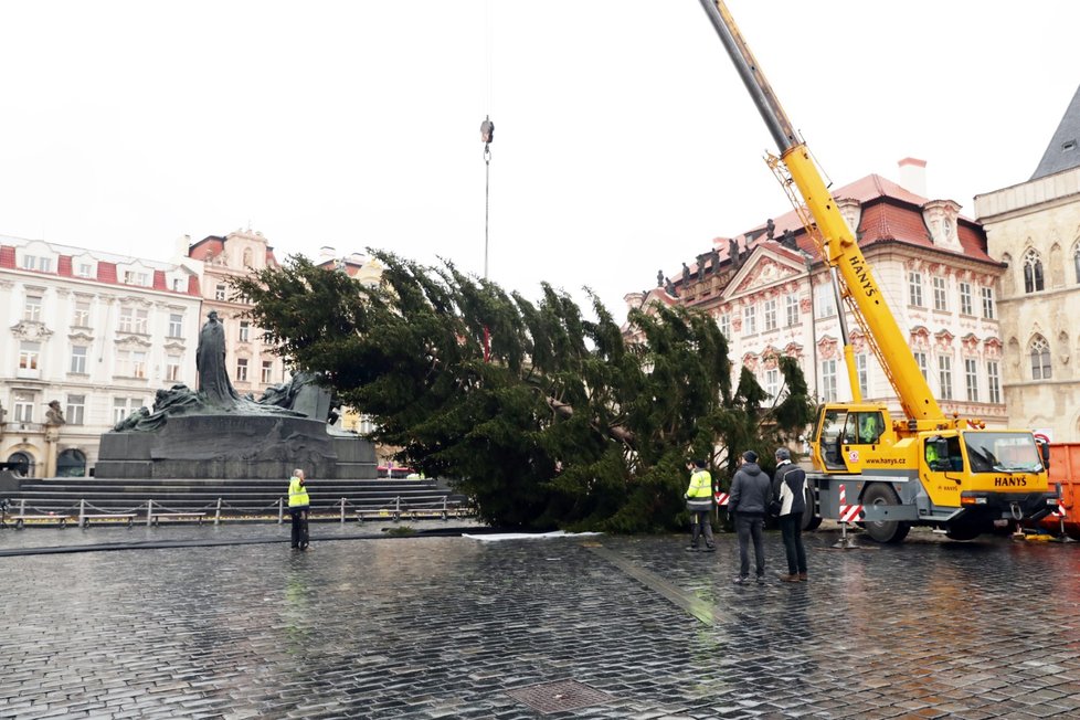 Ze Staroměstského náměstí v Praze byl 9. ledna 2020 odstraněn vánoční strom. Na akci dohlížel umělec Marek Číhal, který chce ze stromu vyrobit s brněnskými truhláři stoly. Výtěžek z jejich prodeje půjde na charitu.