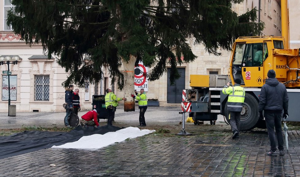 Ze Staroměstského náměstí v Praze byl 9. ledna 2020 odstraněn vánoční strom. Na akci dohlížel umělec Marek Číhal, který chce ze stromu vyrobit s brněnskými truhláři stoly. Výtěžek z jejich prodeje půjde na charitu.