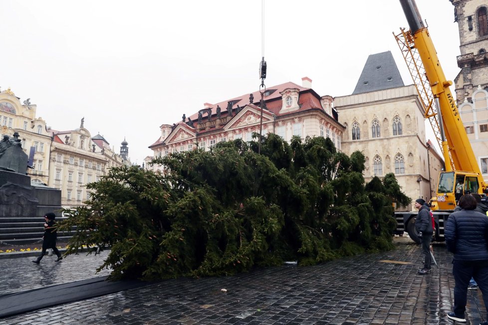 Ze Staroměstského náměstí v Praze byl 9. ledna 2020 odstraněn vánoční strom. Na akci dohlížel umělec Marek Číhal, který chce ze stromu vyrobit s brněnskými truhláři stoly. Výtěžek z jejich prodeje půjde na charitu.