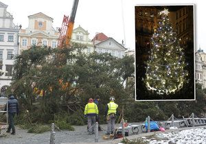 Vánoční strom zmizel ze Staromáku za 6 hodin.