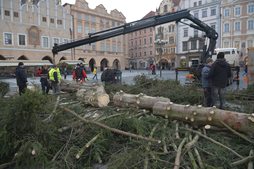 Strom museli rozřezat na několik částí.