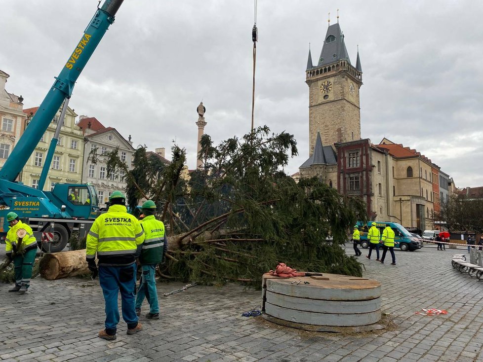 Vánoční strom na Staroměstském náměstí šel k zemi