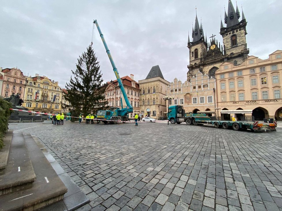 Vánoční strom na Staroměstském náměstí šel k zemi