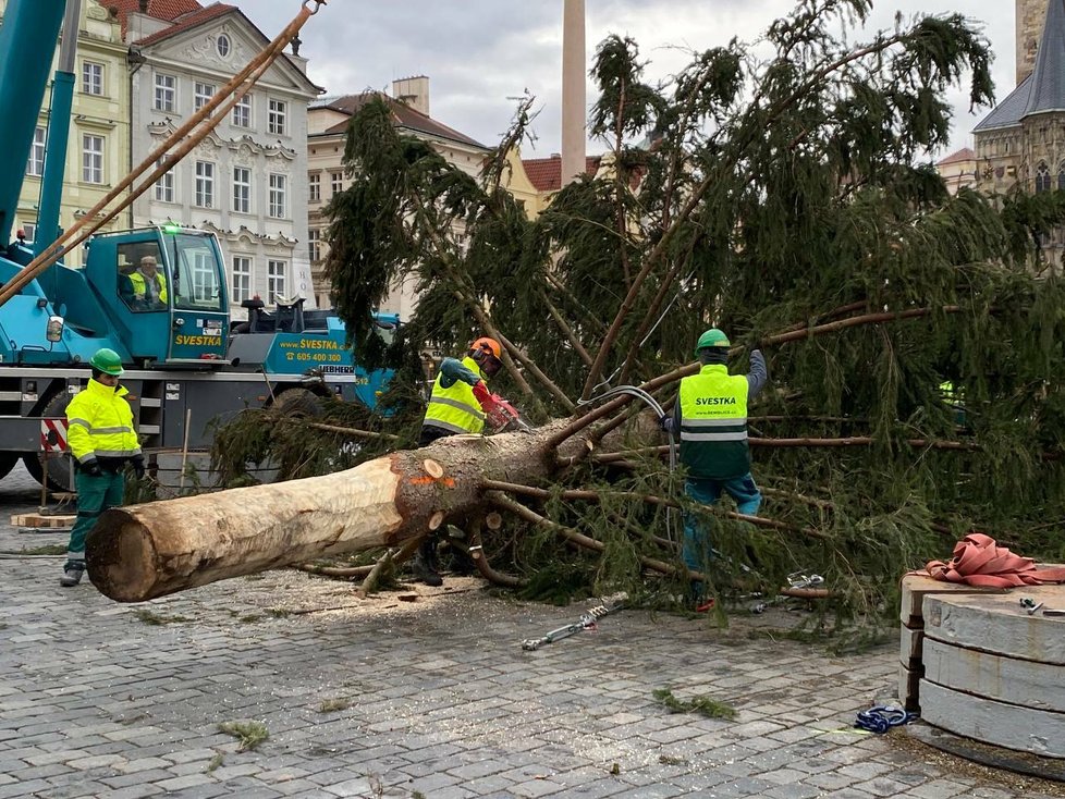 Vánoční strom na Staroměstském náměstí šel k zemi