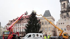 Vánoční strom na Staroměstském náměstí, 24. 11. 2020.