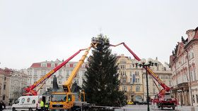 Vánoční strom na Staroměstském náměstí, 24. 11. 2020.