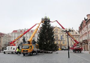 Vánoční strom na Staroměstském náměstí, 24. 11. 2020.