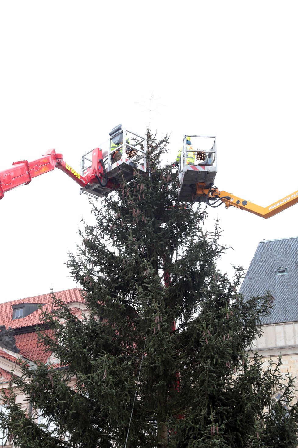 Vánoční strom na Staroměstském náměstí, 24. 11. 2020.