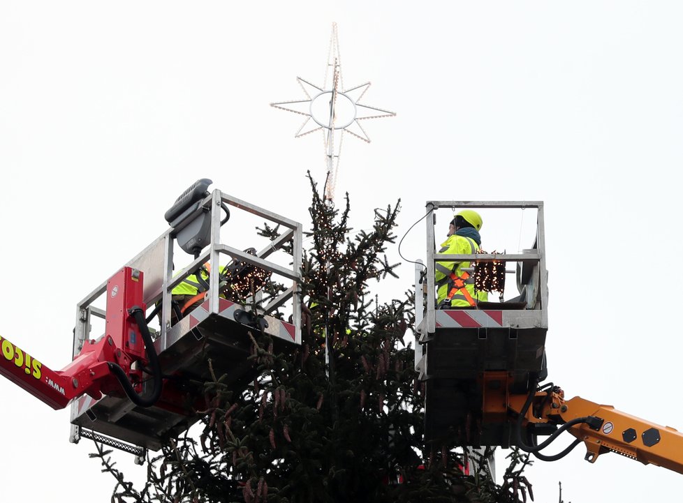 Vánoční strom na Staroměstském náměstí, 24. 11. 2020.