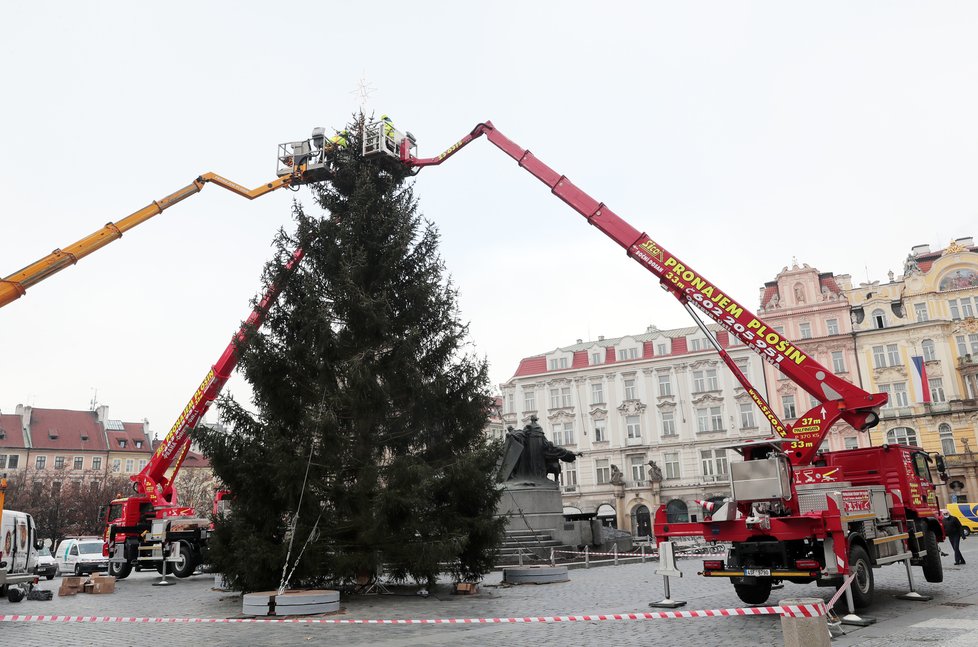 Vánoční strom na Staroměstském náměstí, 24. 11. 2020.