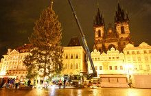 Svátky v Praze na »Staromáku« začínají: Vánoční strom už stojí!