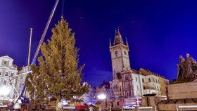 Staroměstské náměstí se přes noc změní: Vyroste na něm 22metrový vánoční smrk