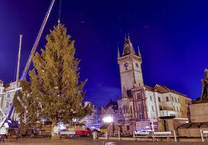 Vánoční strom bude od úterý 22. listopadu součástí Staroměstského náměstí (ilustrační foto).