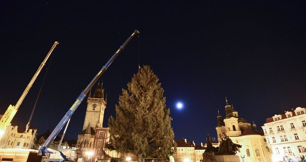 Vánoční strom, který přivezli na Staroměstské náměstí v noci, se slavnostně rozsvěcet nebude.