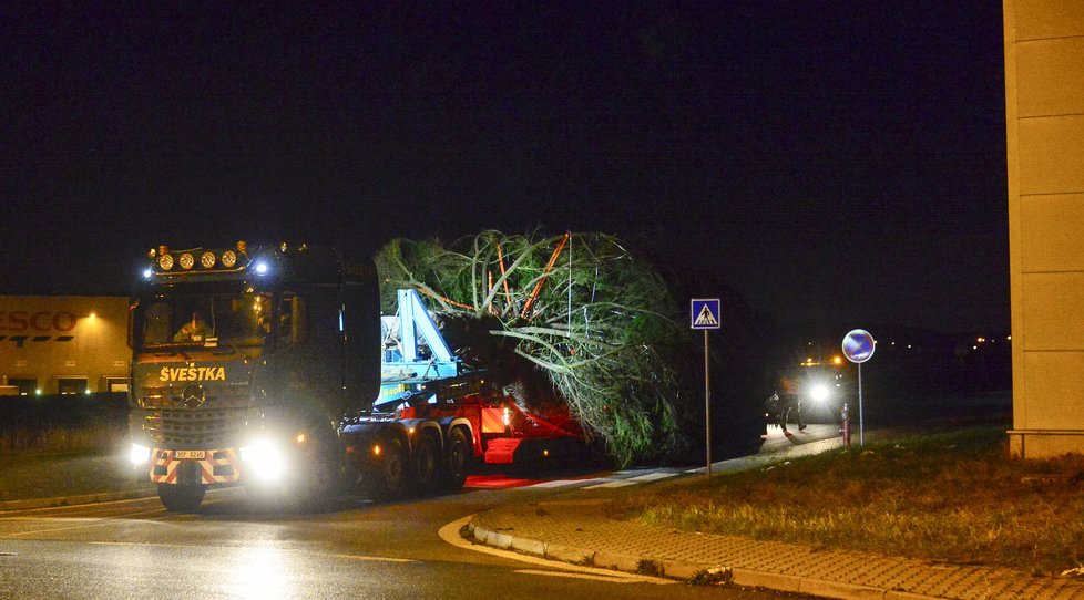 Vánoční strom putoval do Prahy z České Lípy například přes Mělník. Na Staroměstském náměstí stojí od úterý.