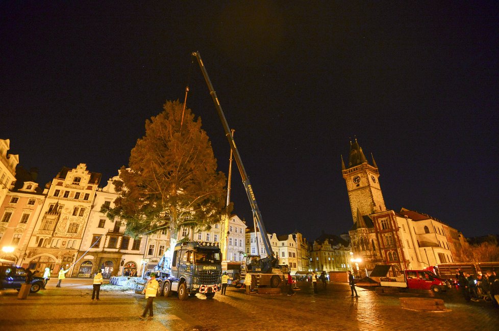 Vánoční strom putoval do Prahy z České Lípy například přes Mělník. Na Staroměstském náměstí stojí od úterý.