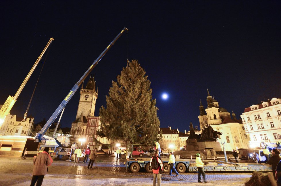 Vánoční strom, který přivezli na Staroměstské náměstí v noci, se slavnostně rozsvěcet nebude.