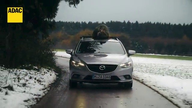 Stromek upevňujte na střechu vždy s pomocí stahovacích popruhů.