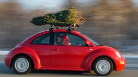 Převážet vánoční stromeček na střeše auta vyžaduje jeho důkladné zabezpečení!