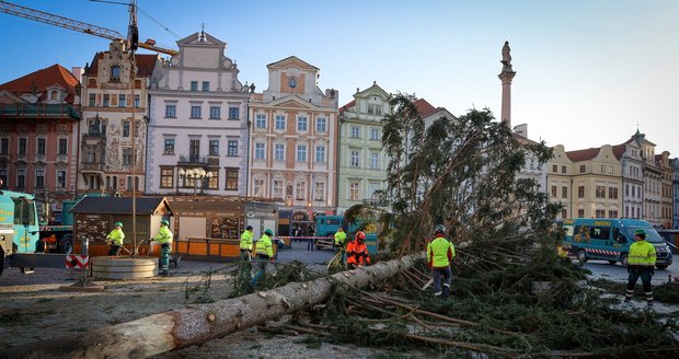 Deinstalace stromu na Staroměstském náměstí, leden 2024.
