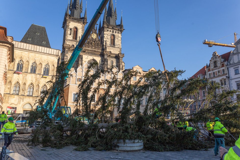 Deinstalace stromu na Staroměstském náměstí, leden 2024.