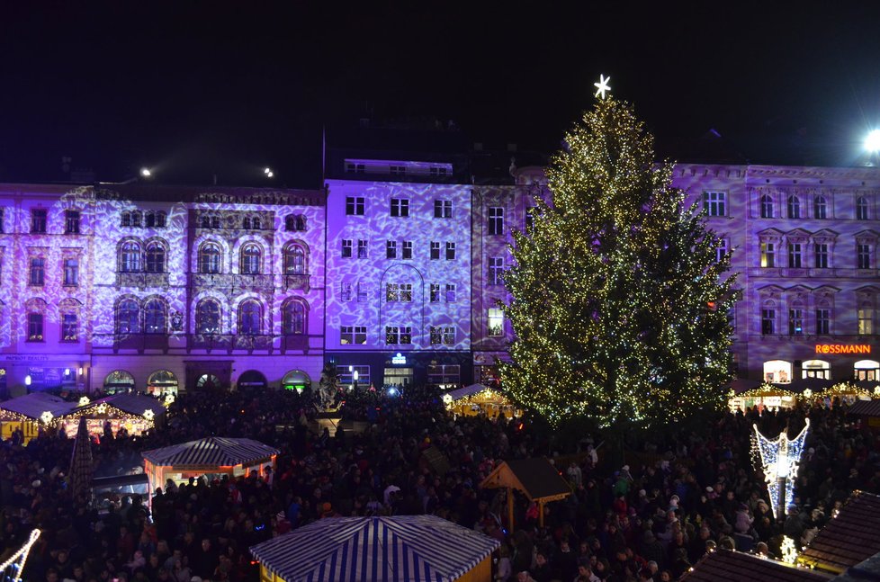 Svůj vánoční strom má už i Olomouc