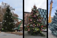 Vánoce na jižní Moravě: Strach z koronaviru, utajené rozsvěcení stromu i zrušený program