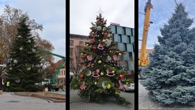 Vánoce na jižní Moravě: Strach z koronaviru, utajené rozsvěcení stromu i zrušený program 