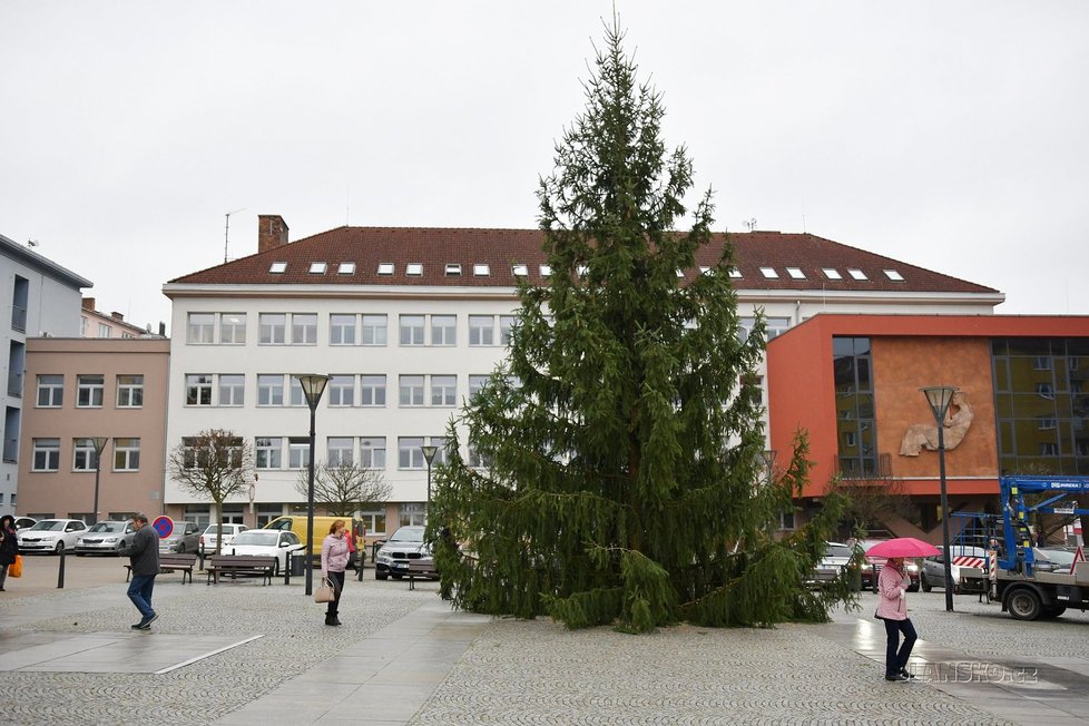 V Blansku je letos vánočním stromem 12 let starý a 12 metrů vysoký smrk ztepilý, vyrostl v arboretu ve Křtinách. Na náměstí Republiky se rozsvítí v pátek 26. listopadu bez okázalostí.