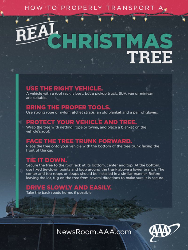 Víte, jak bezpečně převážet vánoční stromek na střeše?