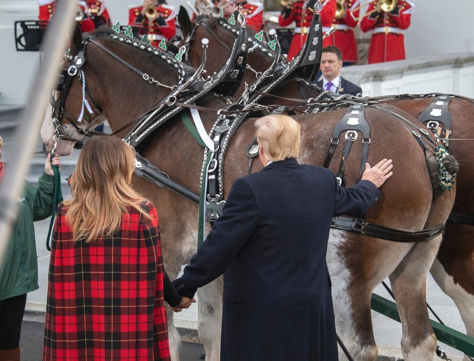 Melania Trump s manželem vítali doručení vánočního stromku.