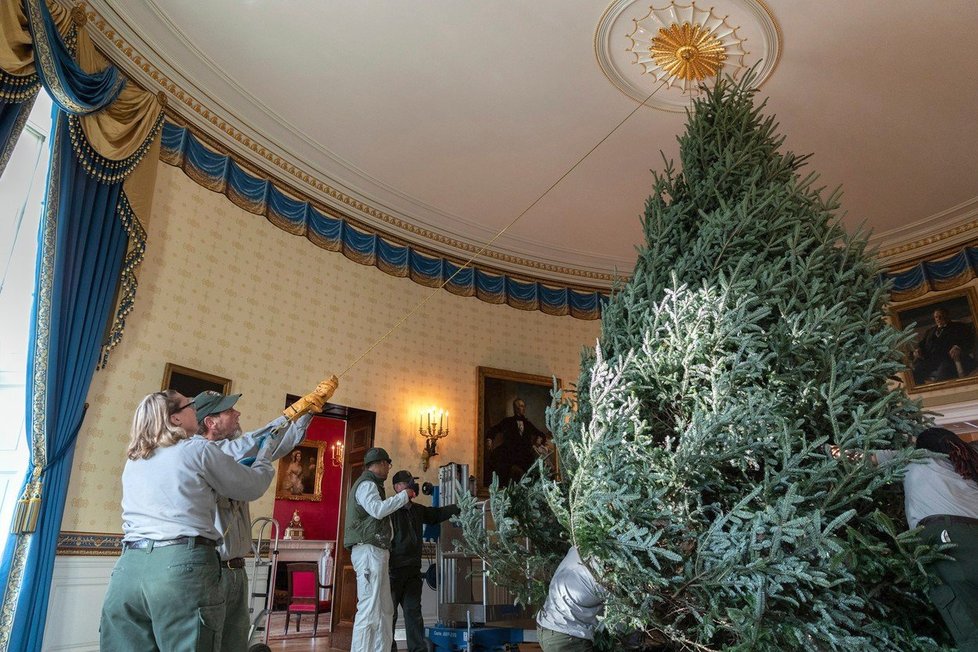 Vánoční stromek dali do Modrého pokoje v Bílém domě. Museli nechat sundat lustr, aby se tam jehličnan vešel.