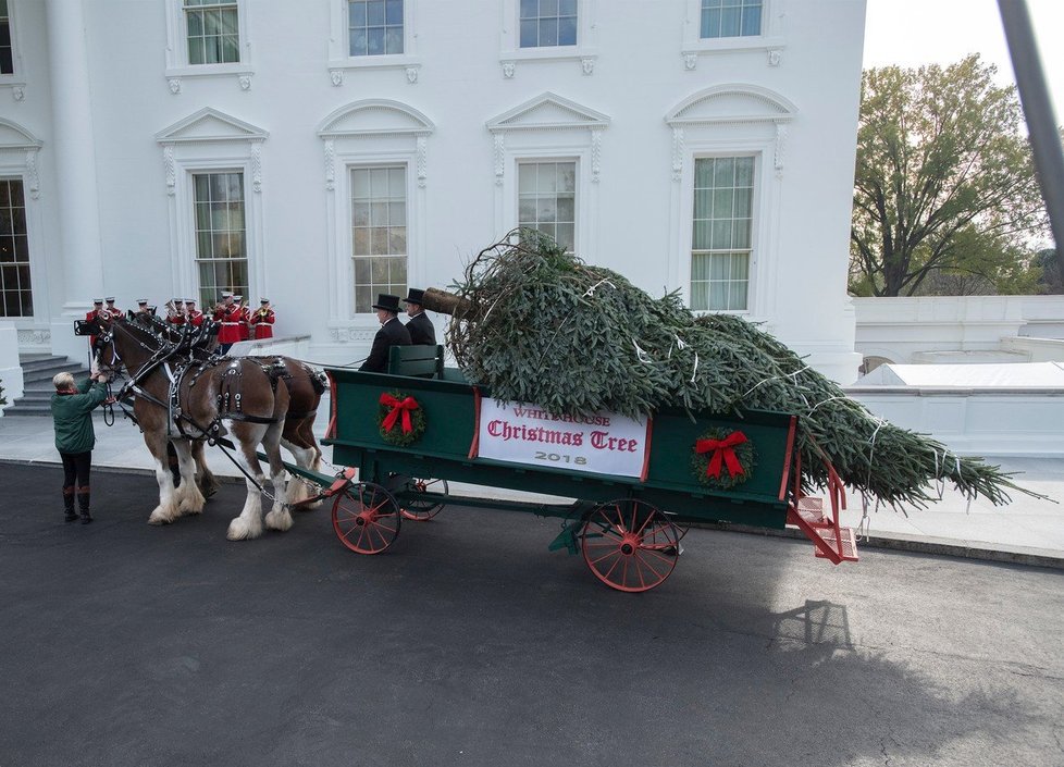 Melania Trump s manželem vítali doručení vánočního stromku.