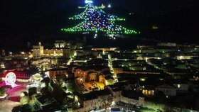 Tento stromek je zapsán v Guinessově knize rekordů.