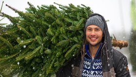 Jak správně vybrat nejhezčí vánoční stromek? Máme pro vás 6 skvělých tipů