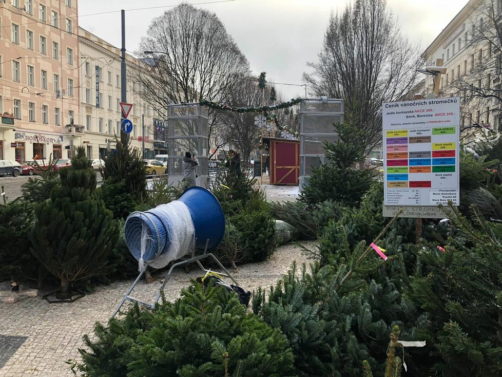 Prodej vánočních stromků na Tyláku