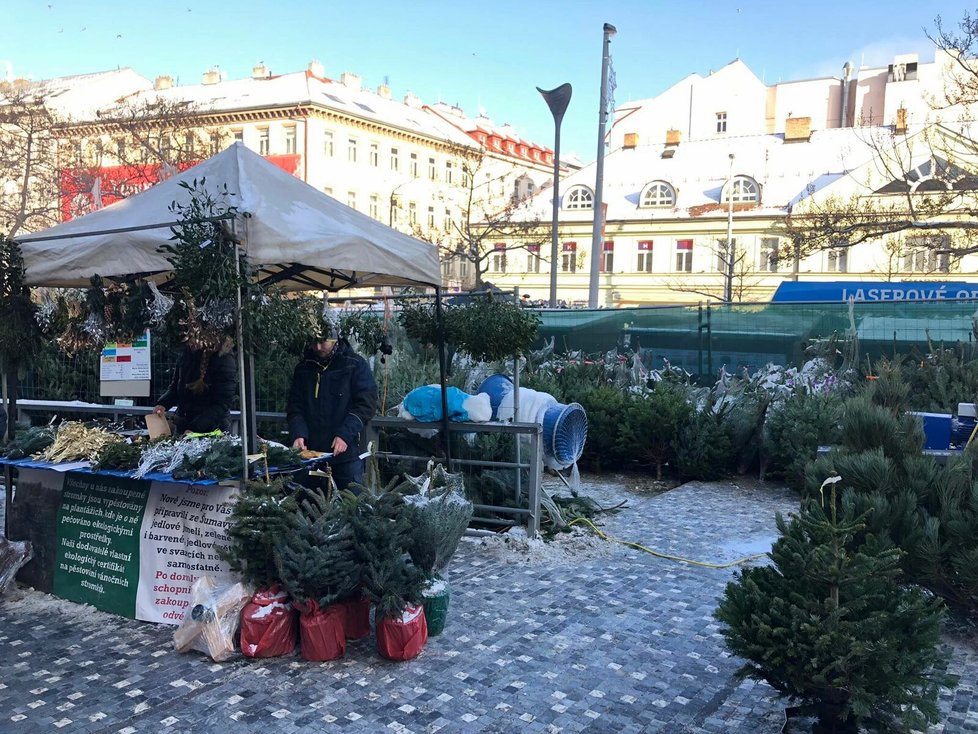 Prodej vánočních stromků u Anděla