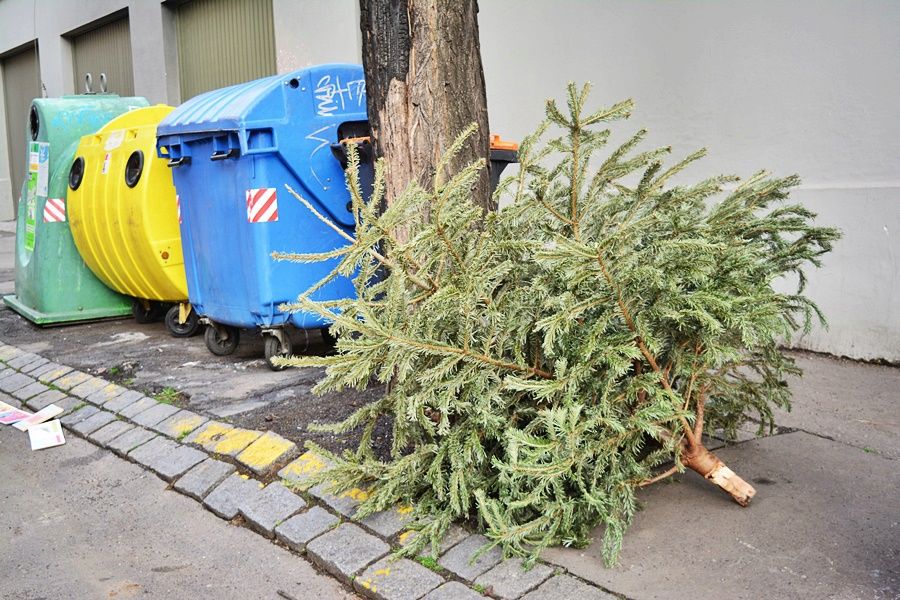 Stromek dejte odstrojený ke kontejnerům.