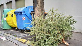 Co s vánočním stromkem po svátku Tří králů? Pražanům stačí stromek odnést k popelnicím