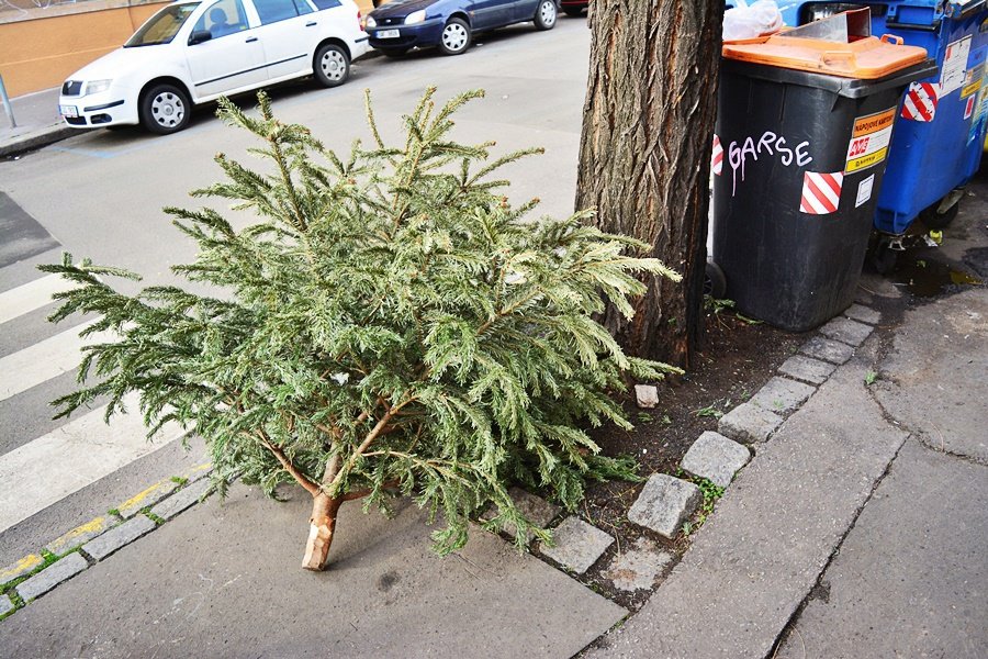 Stromek dejte odstrojený ke kontejnerům