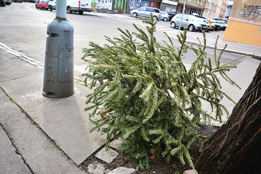 Stromek dejte odstrojený ke kontejnerům