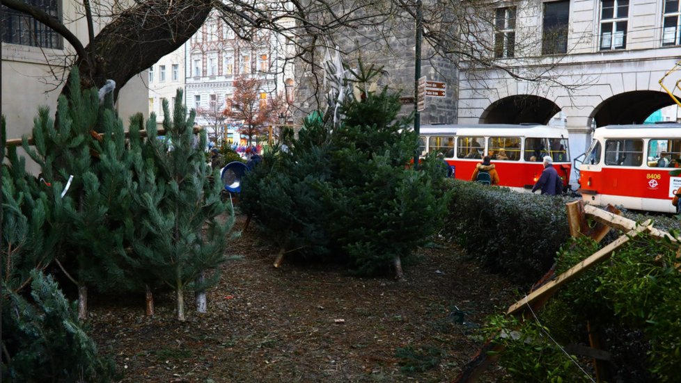 V Jindřišské se prodávají stromky naproti Jindřišské věži.