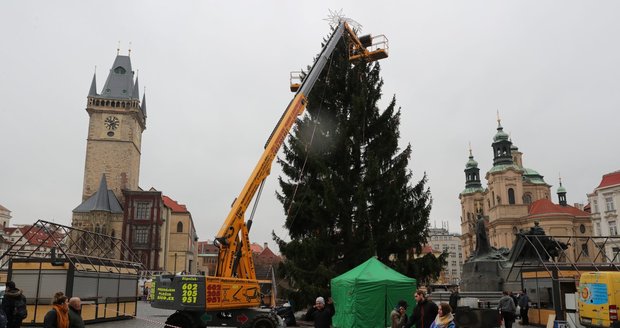 Zdobení vánočního stromu na Staroměstském náměstí v Praze bylo zahájeno 26. listopadu 2019.